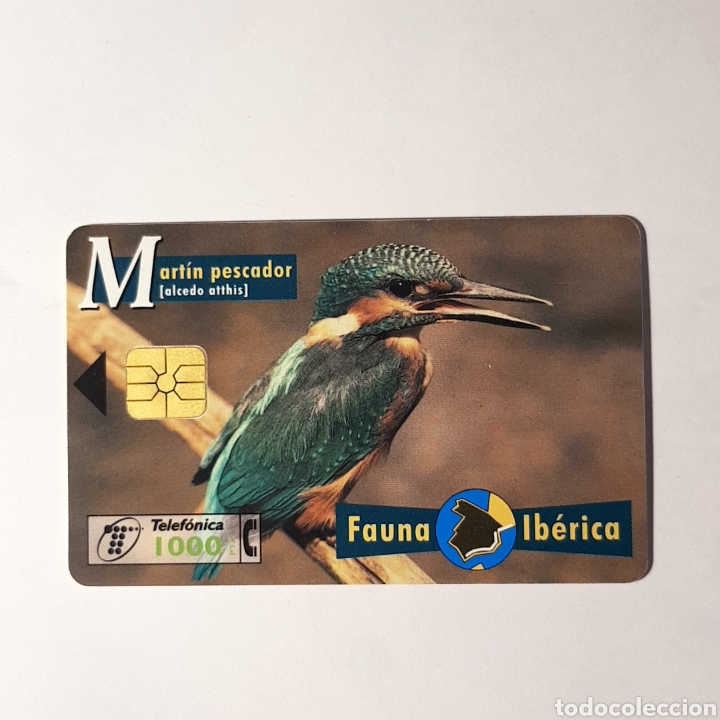 Carte telefoniche di collezione: TARJETA TELEFONICA,FAUNA IB&Eacute;RICA ? MARTIN PESCADOR