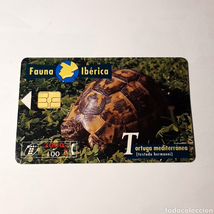 Carte telefoniche di collezione: TARJETA TELEFONICA,FAUNA IB&Eacute;RICA ? TORTUGA MEDITERR&Aacute;NEA