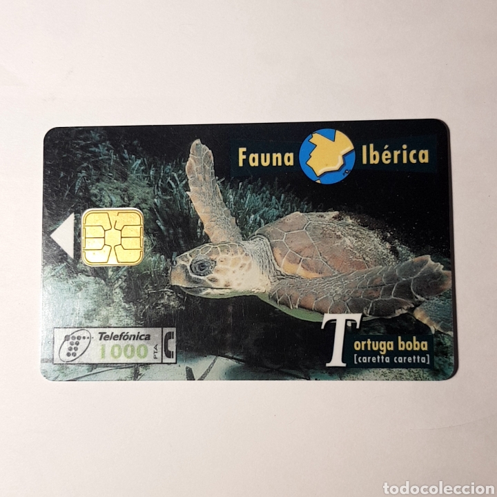 Carte telefoniche di collezione: TARJETA TELEFONICA,FAUNA IB&Eacute;RICA ? TORTUGA BOBA