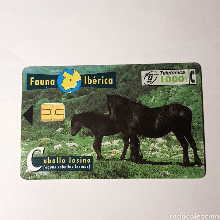 Carte telefoniche di collezione: TARJETA TELEFONICA,FAUNA IB&Eacute;RICA ? CABALLO LOSINO