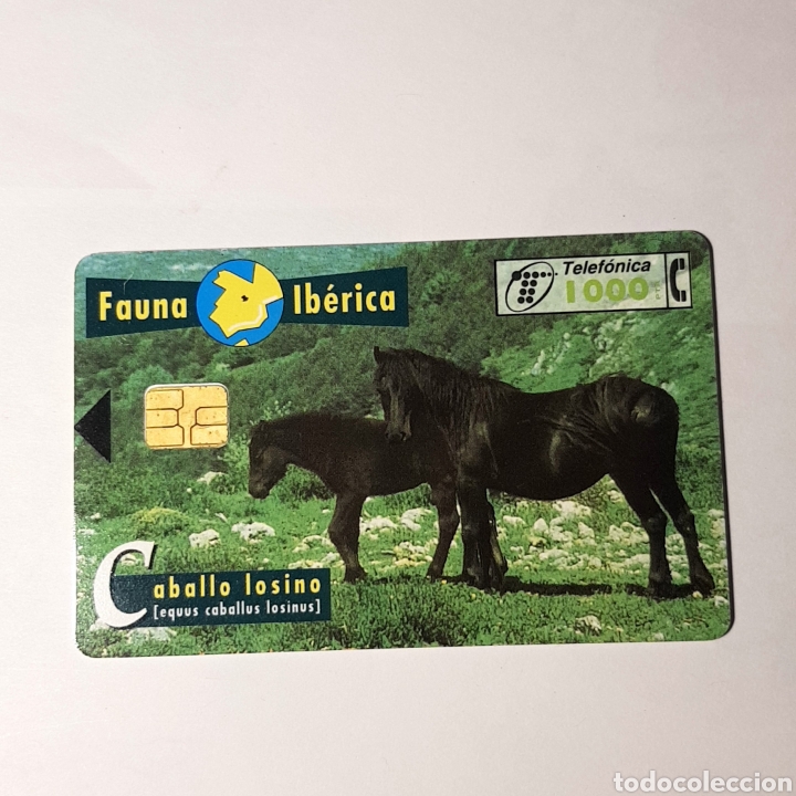 Carte telefoniche di collezione: TARJETA TELEFONICA,FAUNA IB&Eacute;RICA ? CABALLO LOSINO