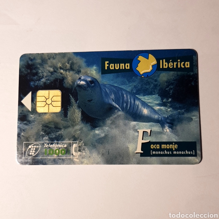Carte telefoniche di collezione: TARJETA TELEFONICA,FAUNA IB&Eacute;RICA ? FOCA MONJE