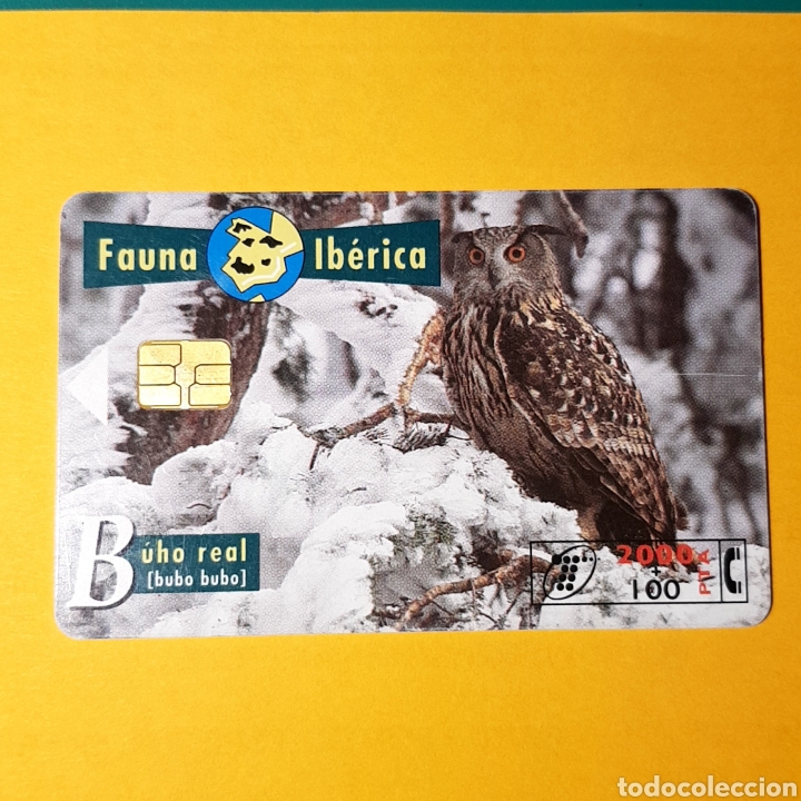 Tarjetas telef&oacute;nicas de colecci&oacute;n: TARJETA TELEFONICA,FAUNA IB&Eacute;RICA ? B&Uacute;HO REAL
