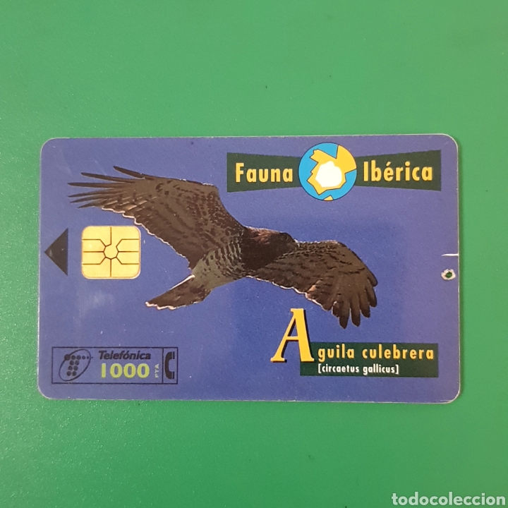 Carte telefoniche di collezione: TARJETA TELEFONICA,FAUNA IB&Eacute;RICA ? AGUILA CULEBRERA (defectuosa)