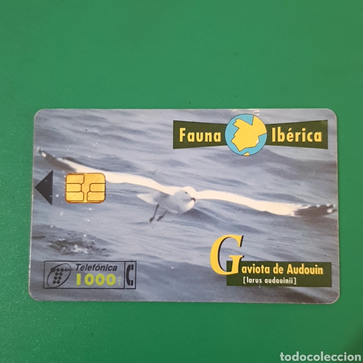 Carte telefoniche di collezione: TARJETA TELEFONICA,FAUNA IB&Eacute;RICA ? GAVIOTA DE AUDOUIN