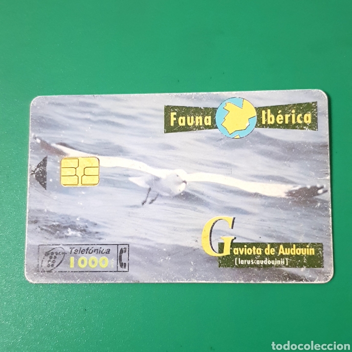 Carte telefoniche di collezione: TARJETA TELEFONICA,FAUNA IB&Eacute;RICA ? GAVIOTA DE AUDOUIN