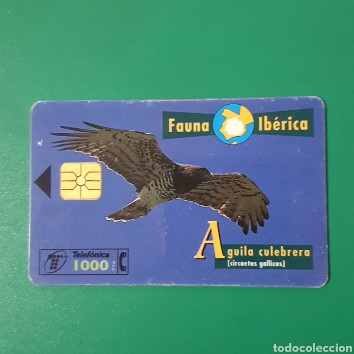 Carte telefoniche di collezione: TARJETA TELEFONICA,FAUNA IB&Eacute;RICA ? AGUILA CULEBRERA