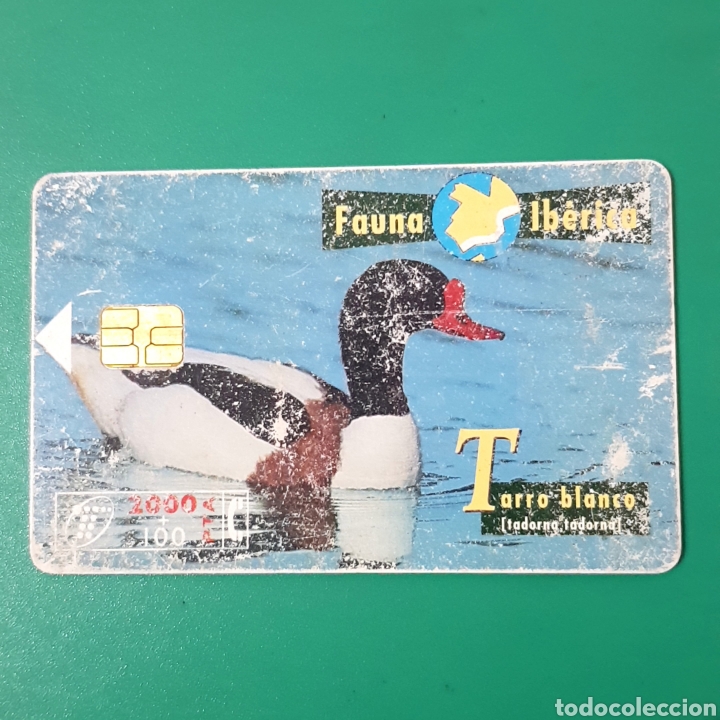 Carte telefoniche di collezione: TARJETA TELEFONICA,FAUNA IB&Eacute;RICA ? TARRI BLANCO