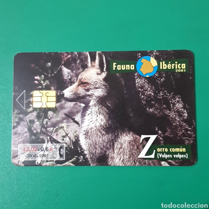 Carte telefoniche di collezione: TARJETA TELEFONICA,FAUNA IB&Eacute;RICA ? ZORRO COMUN