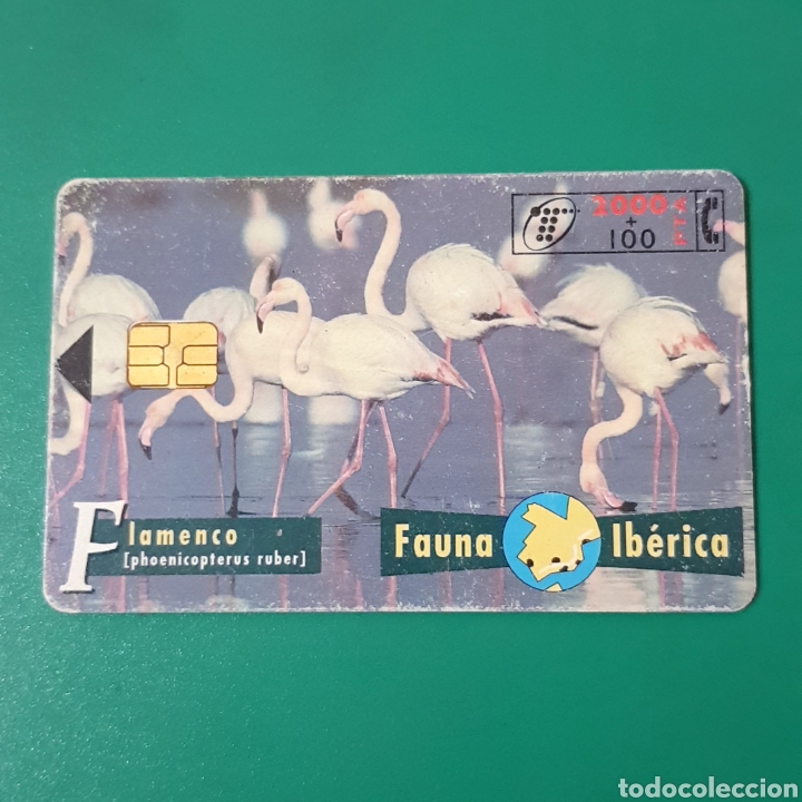 Carte telefoniche di collezione: TARJETA TELEFONICA,FAUNA IB&Eacute;RICA ? FLAMENCO