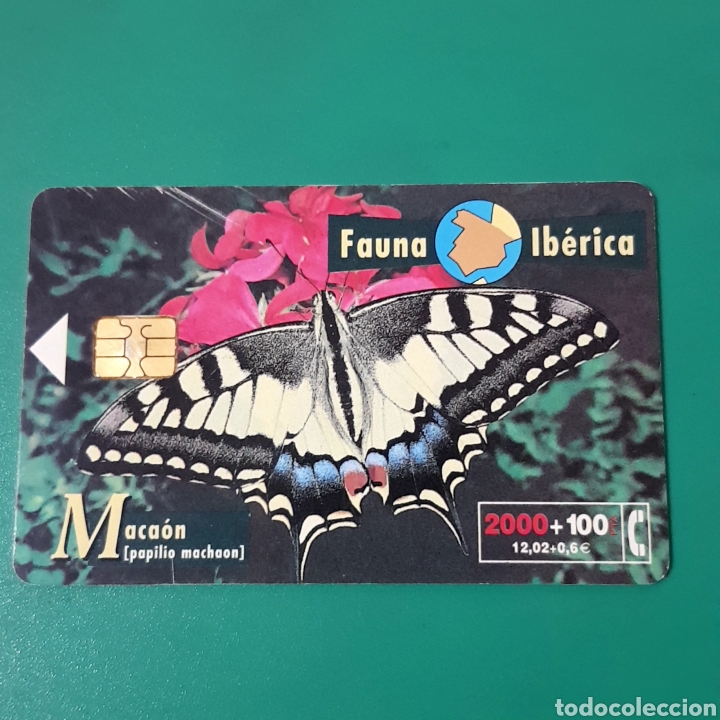 Carte telefoniche di collezione: TARJETA TELEFONICA,FAUNA IB&Eacute;RICA ? MACAON