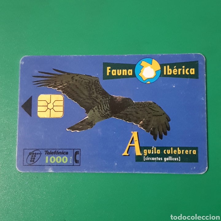 Carte telefoniche di collezione: TARJETA TELEFONICA,FAUNA IB&Eacute;RICA ? AGUILA CULEBRERA