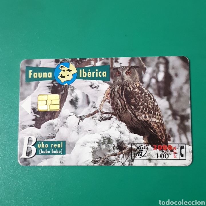 Carte telefoniche di collezione: TARJETA TELEFONICA,FAUNA IB&Eacute;RICA ? B&Uacute;HO REAL
