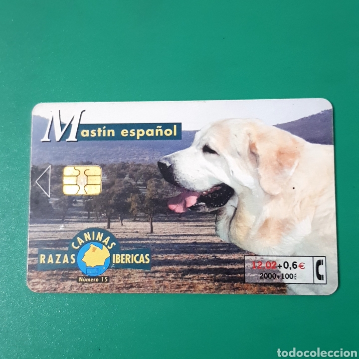 Carte telefoniche di collezione: TARJETA TELEFONICA,RAZAS CANINAS IB&Eacute;RICAS ? MASTIN ESPA&Ntilde;OL