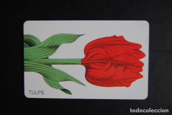 Cartes T&eacute;l&eacute;phoniques de collection: Tarjeta de tel&eacute;fono usada de Alemania