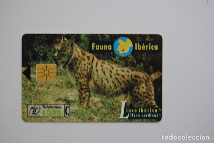Cartes T&eacute;l&eacute;phoniques de collection: Tarjeta de tel&eacute;fono usada de Espa&ntilde;a