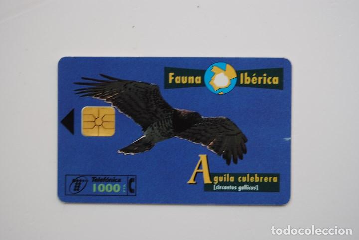 Cartes T&eacute;l&eacute;phoniques de collection: Tarjeta de tel&eacute;fono usada de Espa&ntilde;a