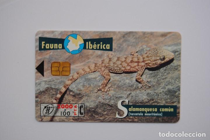 Cartes T&eacute;l&eacute;phoniques de collection: Tarjeta de tel&eacute;fono usada de Espa&ntilde;a