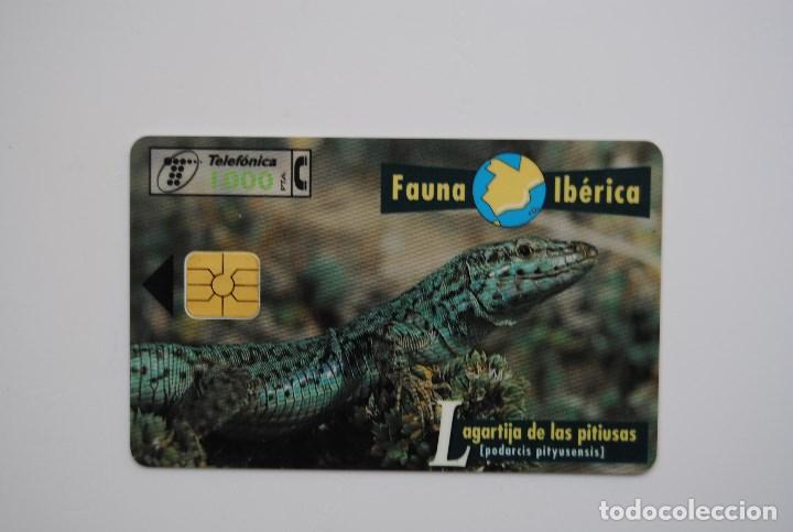 Cartes T&eacute;l&eacute;phoniques de collection: Tarjeta de tel&eacute;fono usada de Espa&ntilde;a