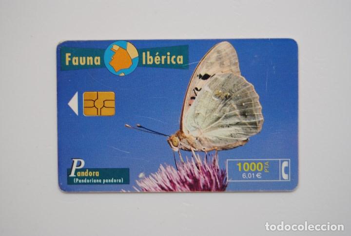 Cartes T&eacute;l&eacute;phoniques de collection: Tarjeta de tel&eacute;fono usada de Espa&ntilde;a