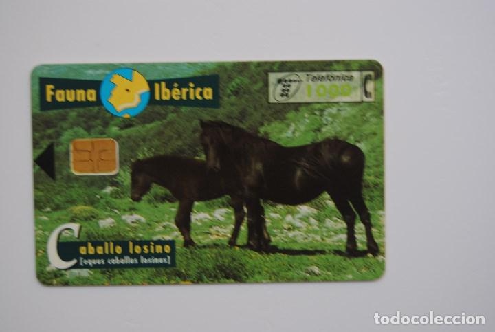 Cartes T&eacute;l&eacute;phoniques de collection: Tarjeta de tel&eacute;fono usada de Espa&ntilde;a