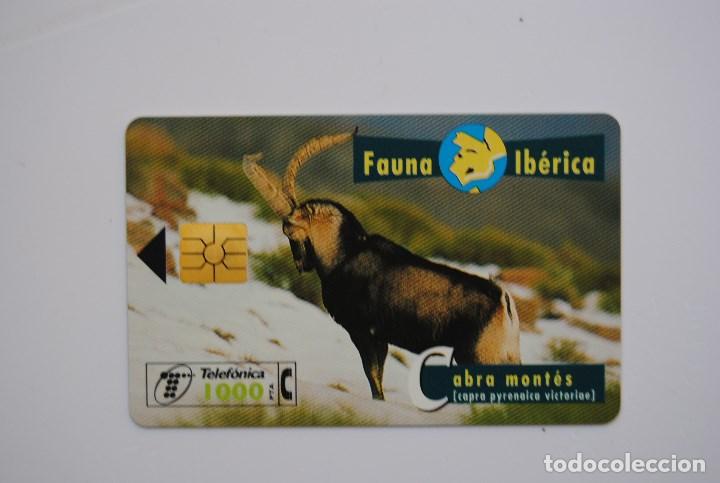 Cartes T&eacute;l&eacute;phoniques de collection: Tarjeta de tel&eacute;fono usada de Espa&ntilde;a