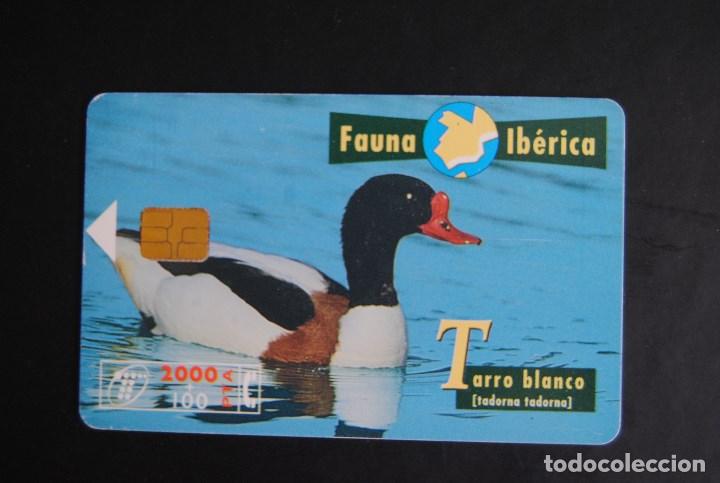 Cartes T&eacute;l&eacute;phoniques de collection: Tarjeta de tel&eacute;fono usada de Espa&ntilde;a