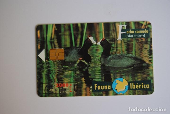 Cartes T&eacute;l&eacute;phoniques de collection: Tarjeta de tel&eacute;fono usada de Espa&ntilde;a