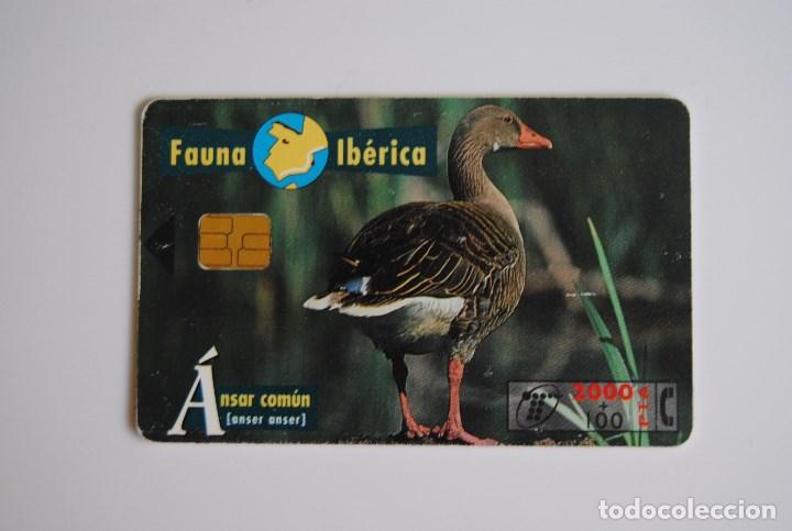 Cartes T&eacute;l&eacute;phoniques de collection: Tarjeta de tel&eacute;fono usada de Espa&ntilde;a