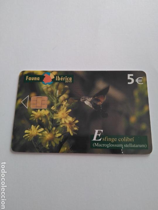Cartes T&eacute;l&eacute;phoniques de collection: TARJETA TELEF&Oacute;NICA. 01 - 2010. ESFINGE COLIBR&Iacute;. FAUNA IB&Eacute;RICA. 5 EUROS. TIRADA 1000010.