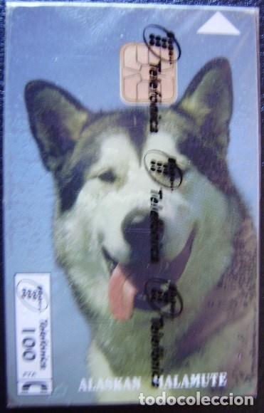 Cartes T&eacute;l&eacute;phoniques de collection: P 129 - ALASKAN MALAMUTE - NUEVA CON PRECINTO - A114