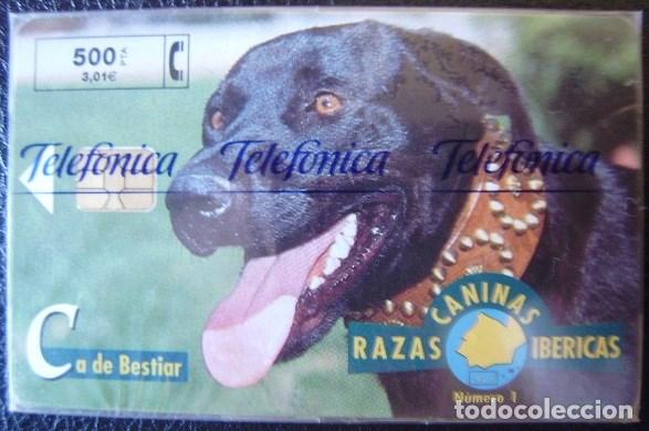 Cartes T&eacute;l&eacute;phoniques de collection: P 393 - FAUNA IBERICA CANINA - CA DE BESTIAR - NUEVA CON PRECINTO - A196