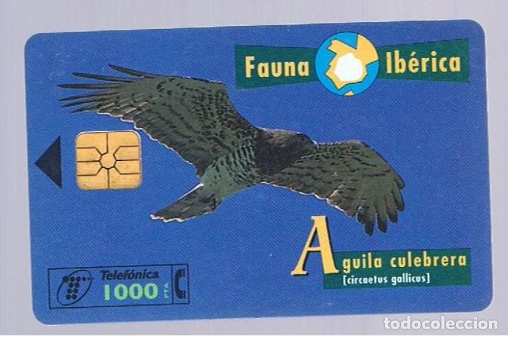 Collection telephone cards: TARJETA TELEFONICA - fauna iberica - aguila culebrera