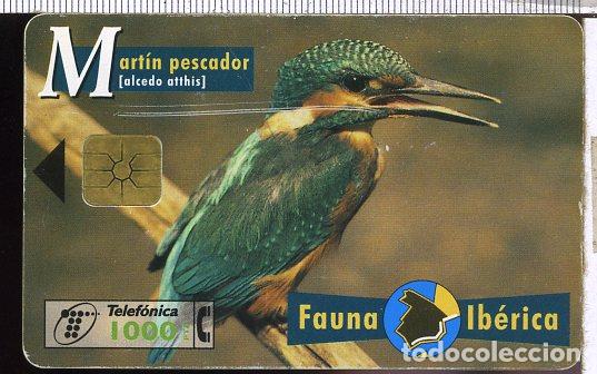 Collection telephone cards: TARJETA FAUNA IBERICA  MARTIN PESCADOR