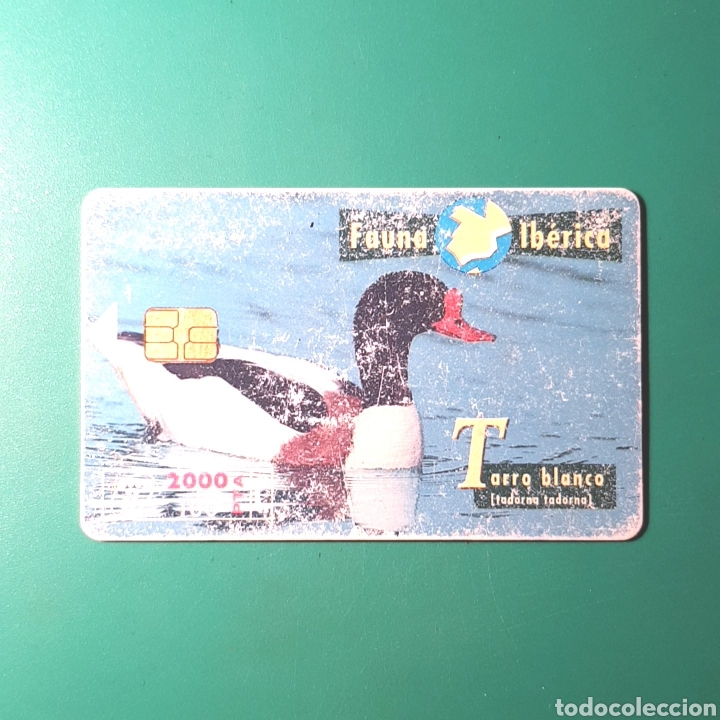 Collection telephone cards: TARJETA TELEFONICA - TARRO BLANCO ( ESPA&Ntilde;A )