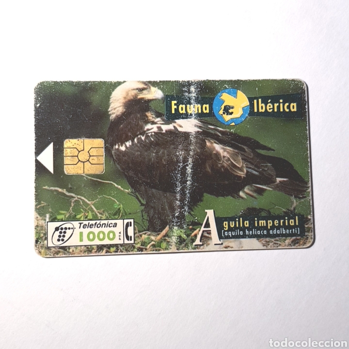 Cartes T&eacute;l&eacute;phoniques de collection: TARJETA TELEFONICA - FAUNA IB&Eacute;RICA / &Aacute;GUILA IMPERIAL