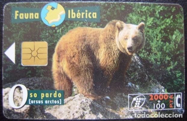 Cartes T&eacute;l&eacute;phoniques de collection: B 44 B - FAUNA IBERICA - OSO - CHIP F6 - N&ordm; NEGROS - USADA - 1&ordf; CALIDAD - A 295