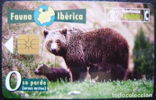 Cartes T&eacute;l&eacute;phoniques de collection: B 45 - FAUNA IBERICA - OSA  - USADA - 1&ordf; CALIDAD - A 296