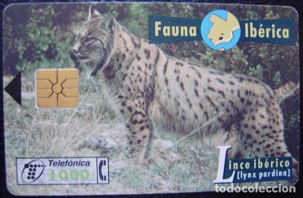 Cartes T&eacute;l&eacute;phoniques de collection: B 46 - FAUNA IBERICA - LINCE - CHIP F5 - N&ordm; NEGROS - USADA 1&ordf; CALIDAD - A 297