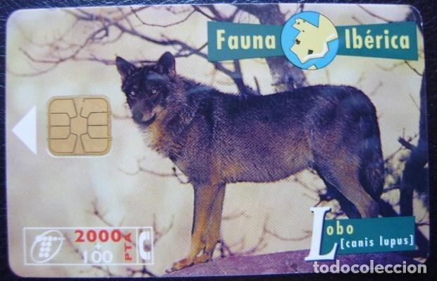 Cartes T&eacute;l&eacute;phoniques de collection: B 47 - FAUNA IBERICA - LOBO - USADA 1&ordf; CALIDAD - VER FOTO REVERSO - A 300
