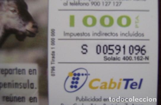 Cartes T&eacute;l&eacute;phoniques de collection: B 52 CABRA MONTESA - USADA 1&ordf; CALIDAD - NUMERACION COMPRIMIDA - A 308