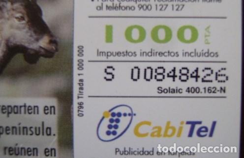 Cartes T&eacute;l&eacute;phoniques de collection: B 52 CABRA MONTESA - USADA 1&ordf; CALIDAD - NUMERACION EXTENDIDA - N&ordm; GRANDES - A 310