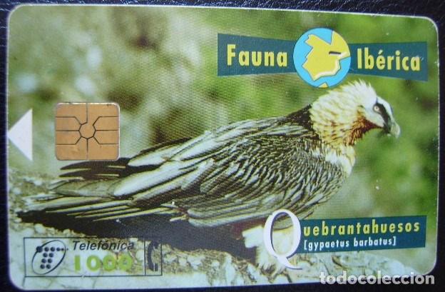 Cartes T&eacute;l&eacute;phoniques de collection: B 53/B QUEBRANTAHUESO CHIP F 6 - N&ordm; NEGROS - USADA 1&ordf; CALIDAD - A 313