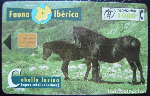 Cartes T&eacute;l&eacute;phoniques de collection: B 56 - CABALLOS LOSINOS - USADA 1&ordf; CALIDAD - A 316