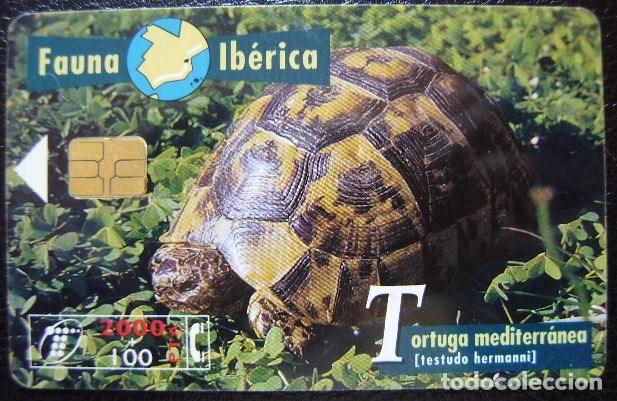 Cartes T&eacute;l&eacute;phoniques de collection: B 57 TORTUGA MEDITERRANEA - USADA 1&ordf; CALIDAD - A 317