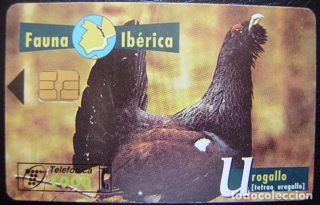 Cartes T&eacute;l&eacute;phoniques de collection: B 61 UROGALLO - USADA 1&ordf; CALIDAD  - A 322