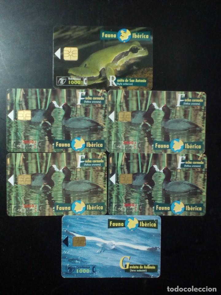 Cartes T&eacute;l&eacute;phoniques de collection: 6 TARJETAS TELEF&Oacute;NICAS-FAUNA IBERICA-RANITA DE SAN ANTONIO,FOCHA CORNUDA,GAVIOTA DE AUDOUIN