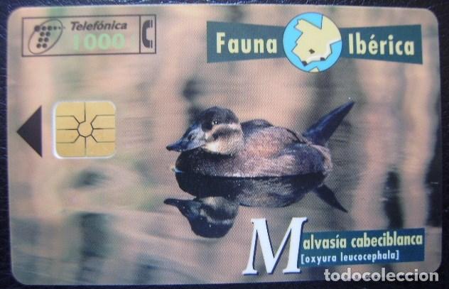 Cartes T&eacute;l&eacute;phoniques de collection: B 71 MALMASIA - USADA 1&ordf; CALIDAD   - A 331