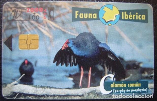 Cartes T&eacute;l&eacute;phoniques de collection: B 72 CALAMON - USADA 1&ordf; CALIDAD - A 333