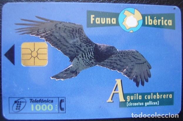 Cartes T&eacute;l&eacute;phoniques de collection: B 73 AGUILA CULEBRERA - USADA 1&ordf; CALIDAD - A 334